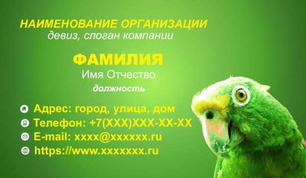 Бесплатный шаблон дизайна визитки зоомагазин ветеринар (Воронеж)