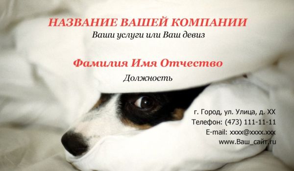 визитка по шаблону ветеринарная клиника животные собаки